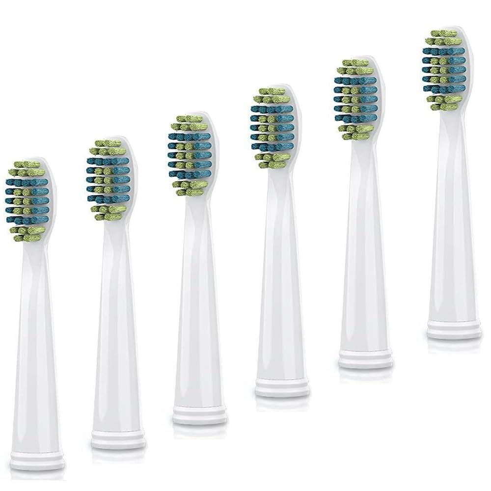 Voom Sonic Pro 3/Pro 5 replacement heads 6-pack box