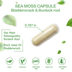 Close-up of VPKIN Sea Moss Capsules