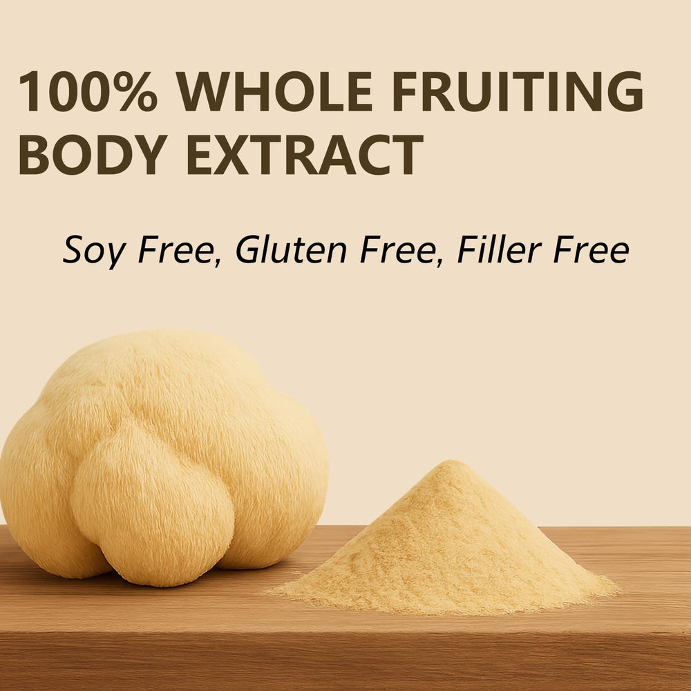 Scoop of Lion's Mane powder for coffee or tea