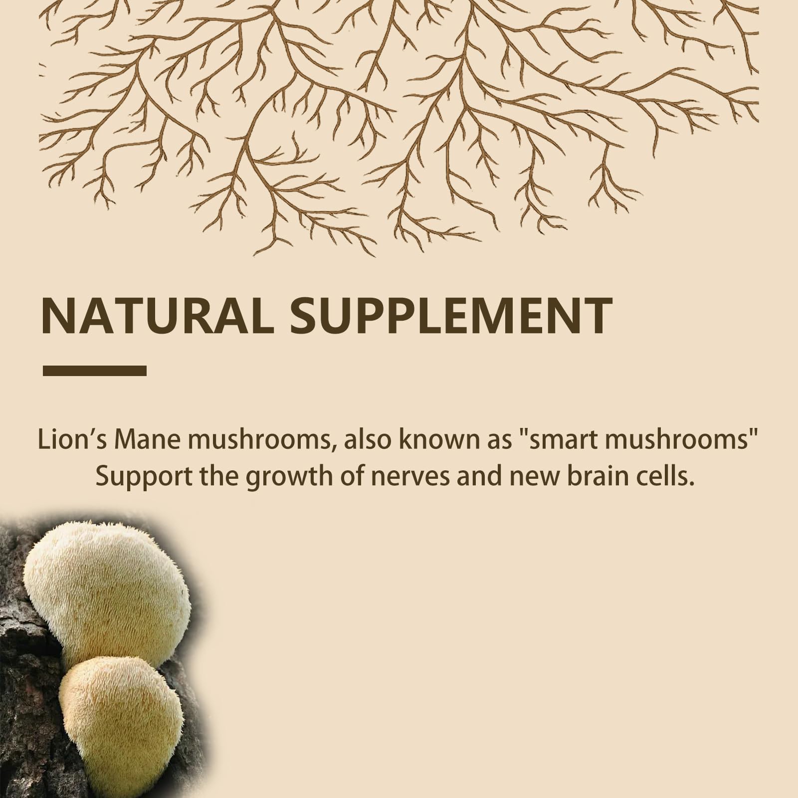 Fine, odorless powder texture of Lion's Mane supplement