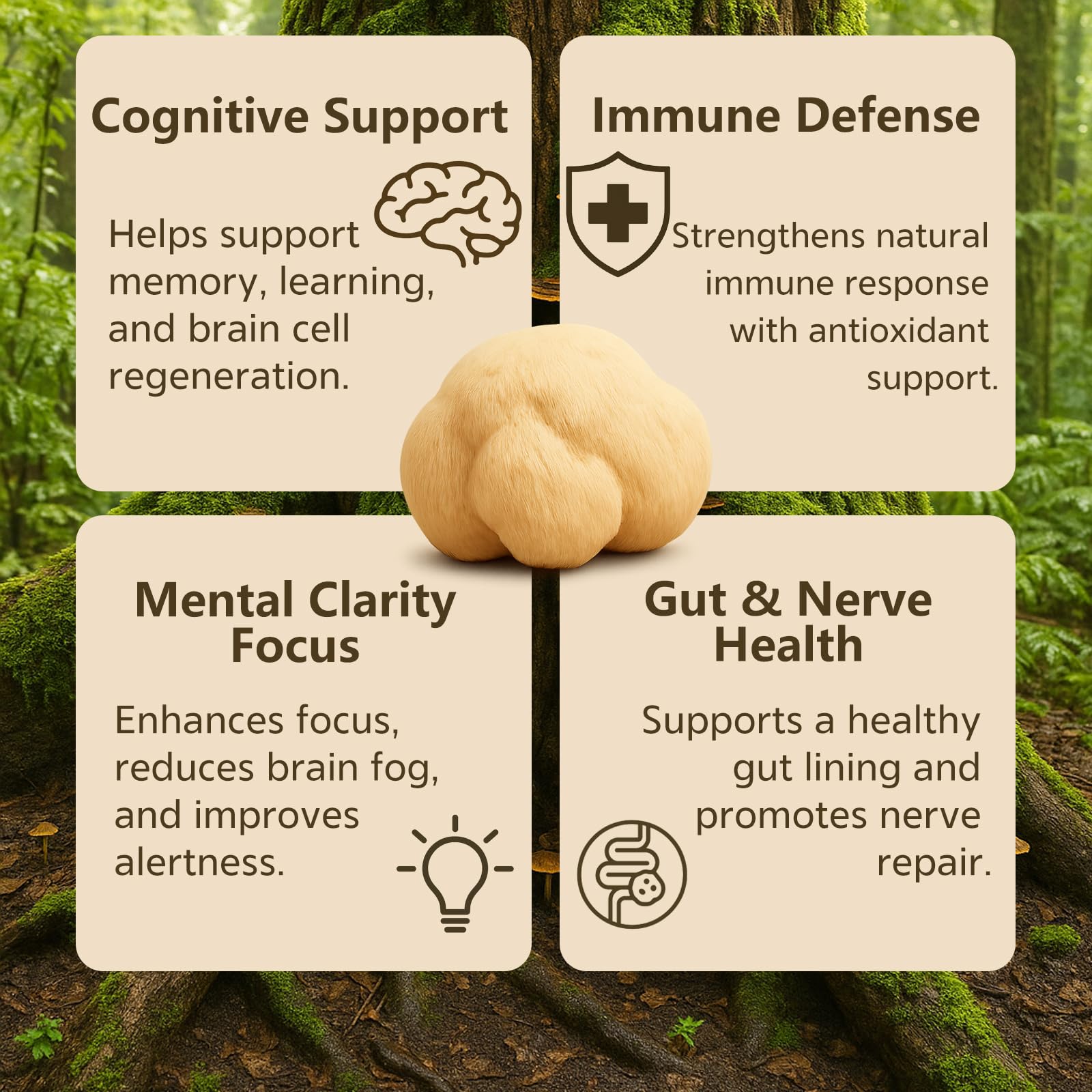 Vrixlanua Lion's Mane Powder packaging on display