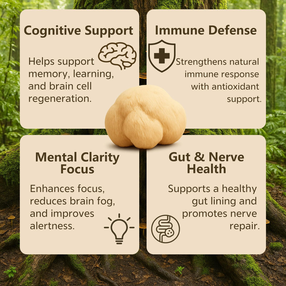 Vrixlanua Lion's Mane Powder packaging on display