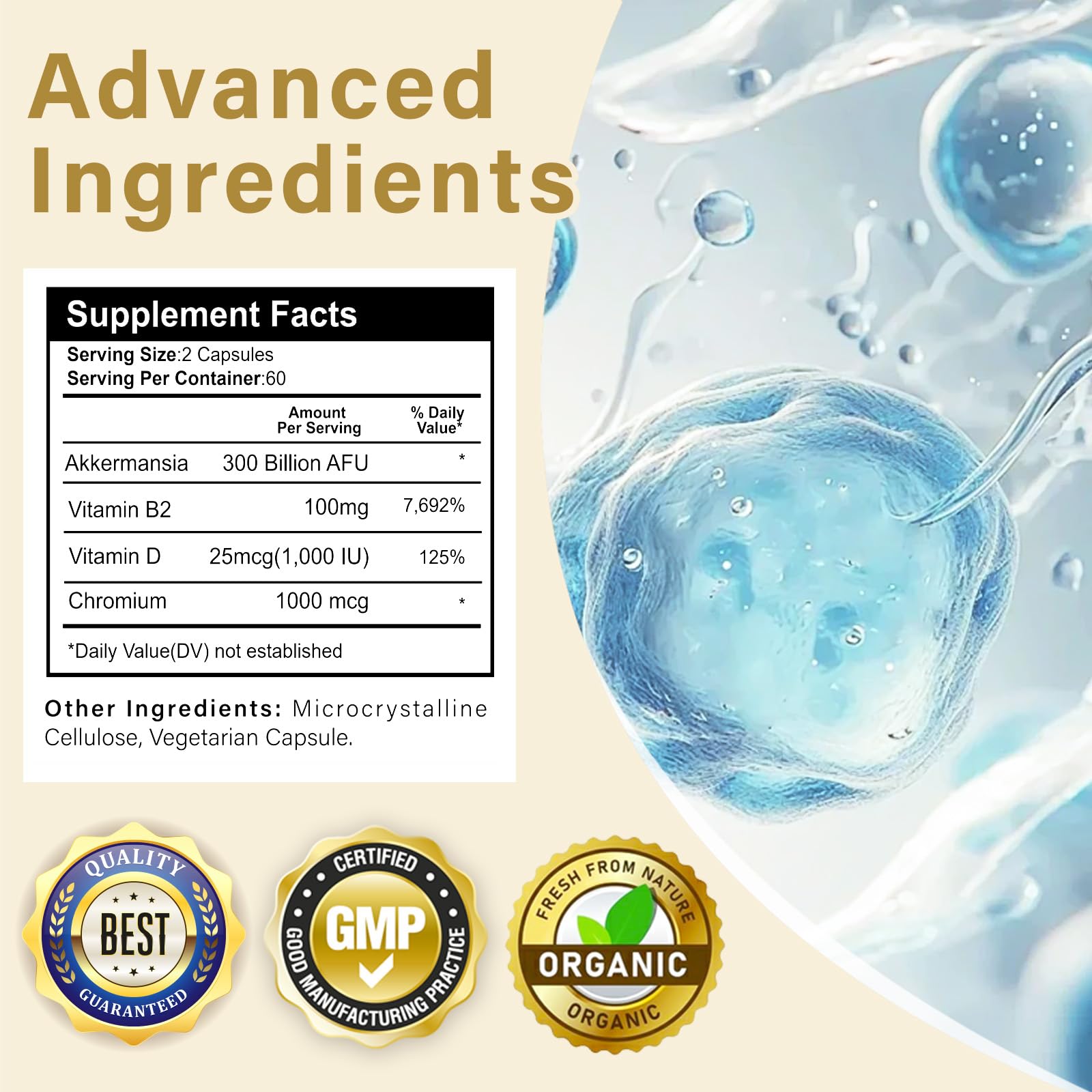 Immune system support with probiotic blend