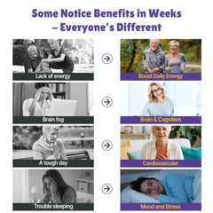 Front label close-up of Vylarithonixa bottle highlighting MTHFR support