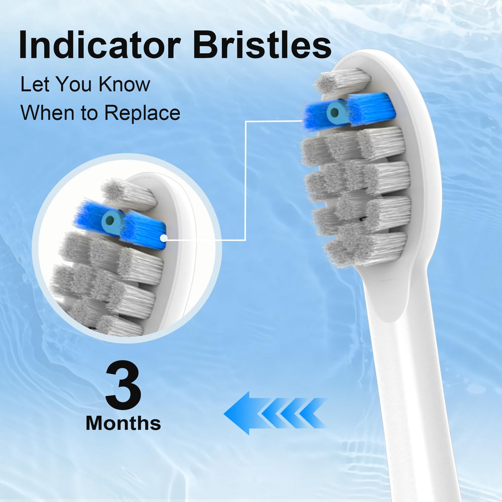 Eight replacement brush heads with protective caps