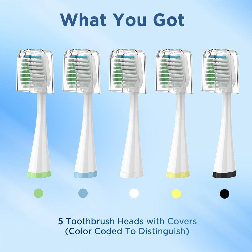 Compatibility diagram for Waterpik Complete Care 9.0 and 5.0 models
