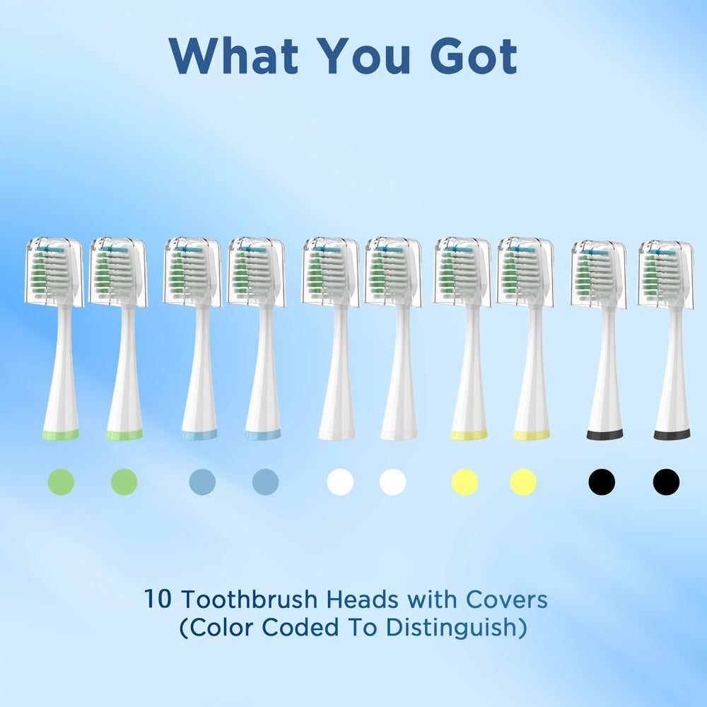 Blue reminder bristles on Waterpik replacement heads - image 5