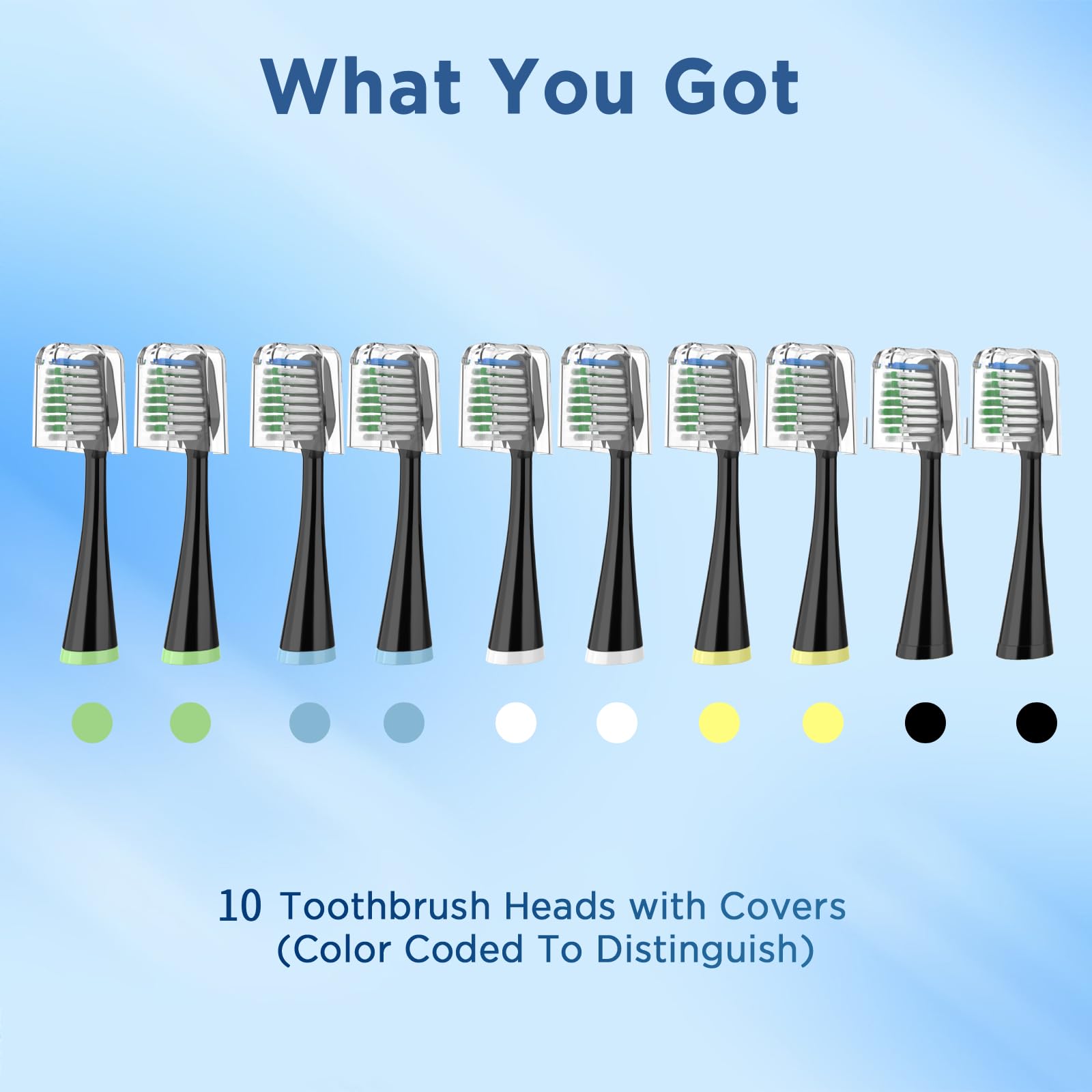 End-rounded bristles for gentle yet effective cleaning