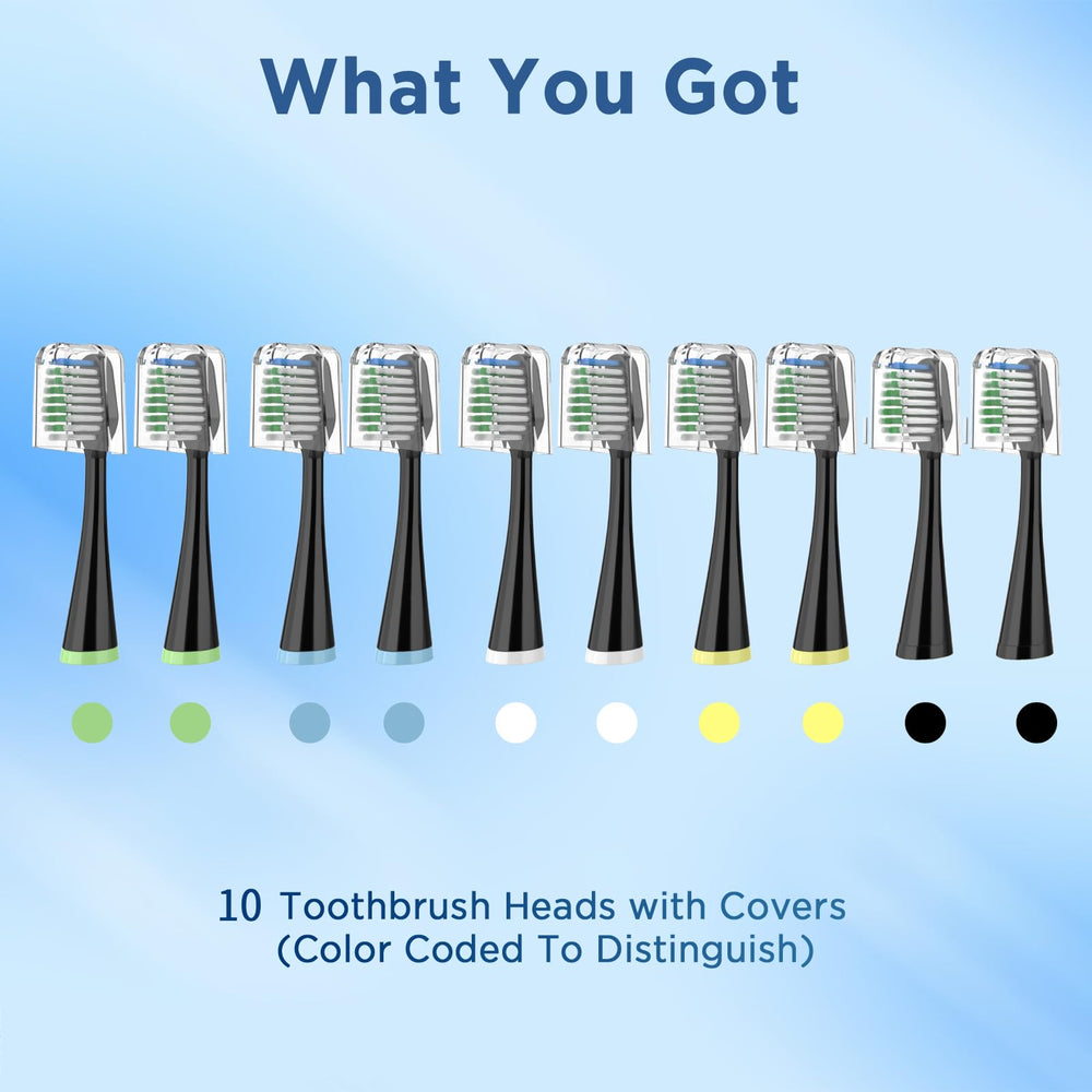 End-rounded bristles for gentle yet effective cleaning