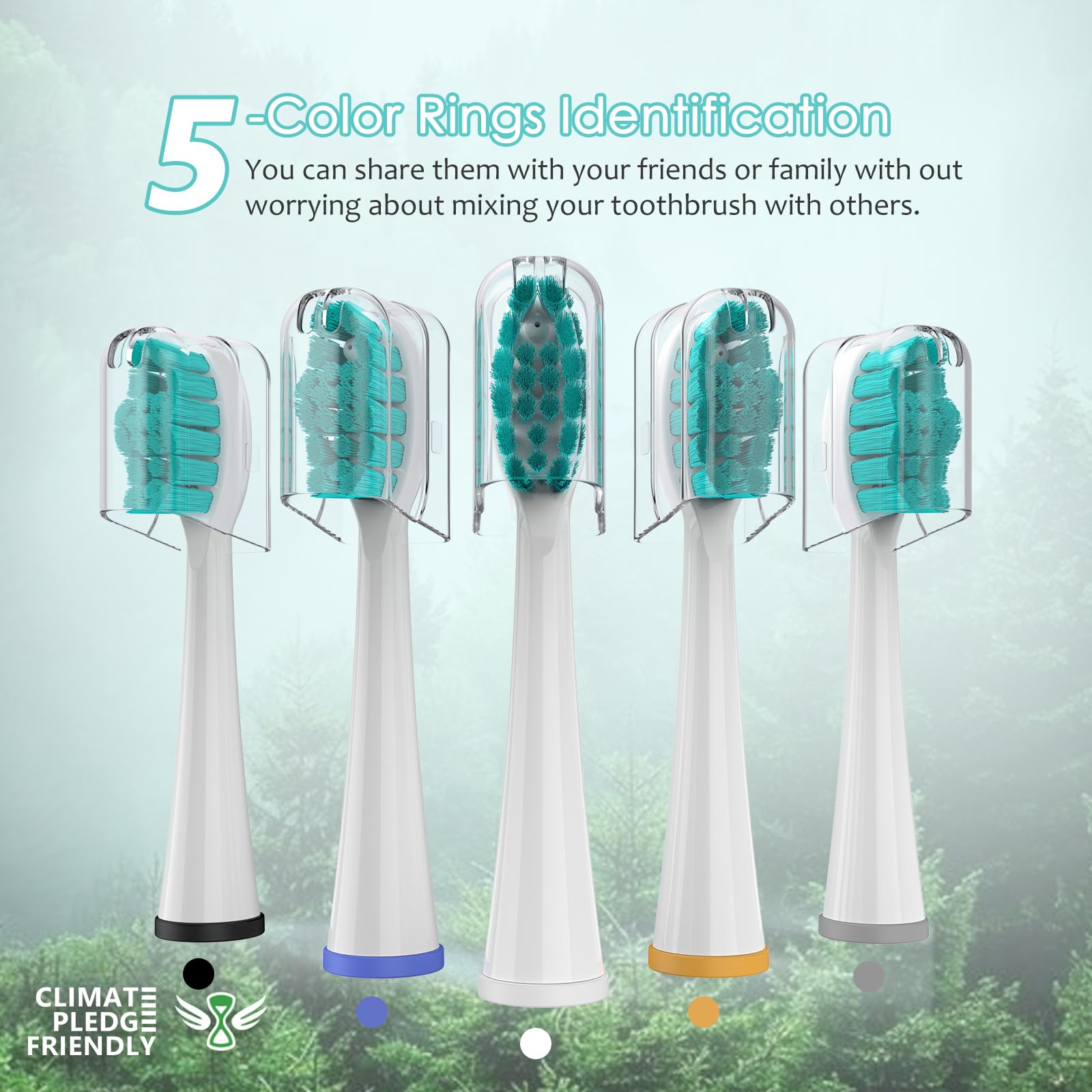 Family-sharing Waterpik replacement heads with color coding