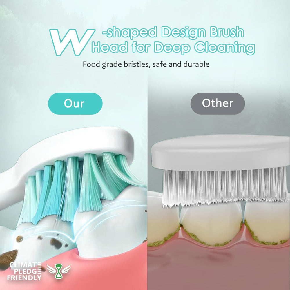 Bristles with rounded ends on Waterpik replacement head for gentler brushing