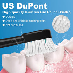 DuPont bristles on Sonic-Fusion replacement brush heads for safe cleaning