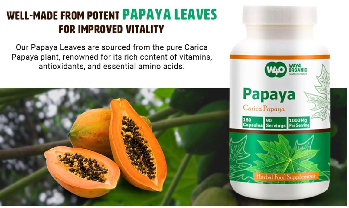 Papaya leaves with capsules arranged on white background