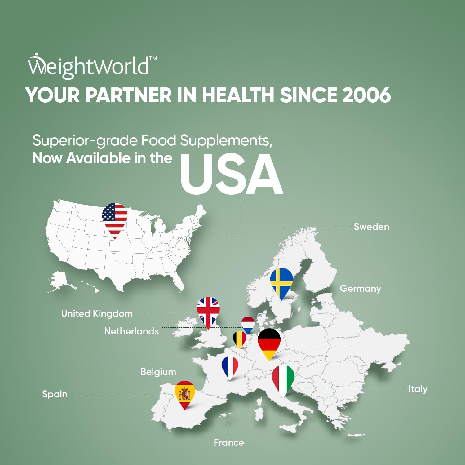 Illustration of digestive health and regularity benefits