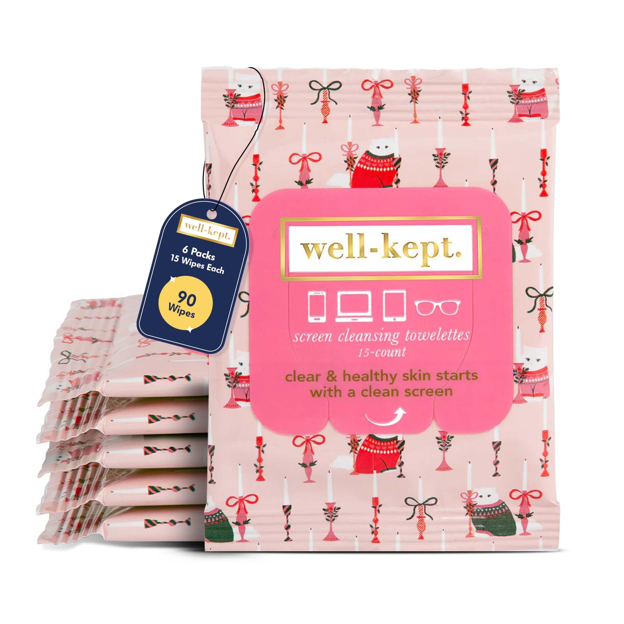 Well-Kept Wipes six-pack packaging with rainbow-striped resealable packs