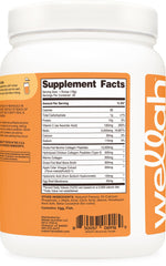 Wellah Afterglow Collagen Protein + Beauty Chocolate bottle