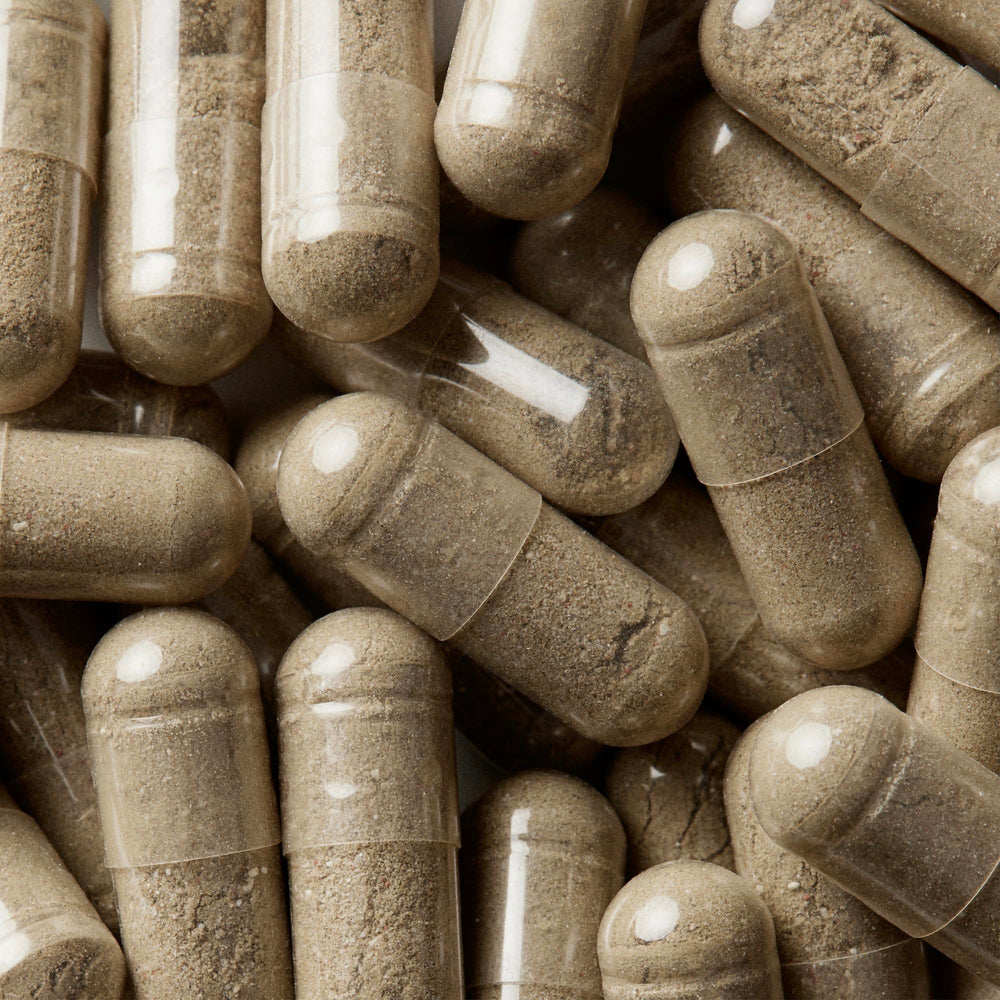 Close-up of WELLBEL Women supplement capsules