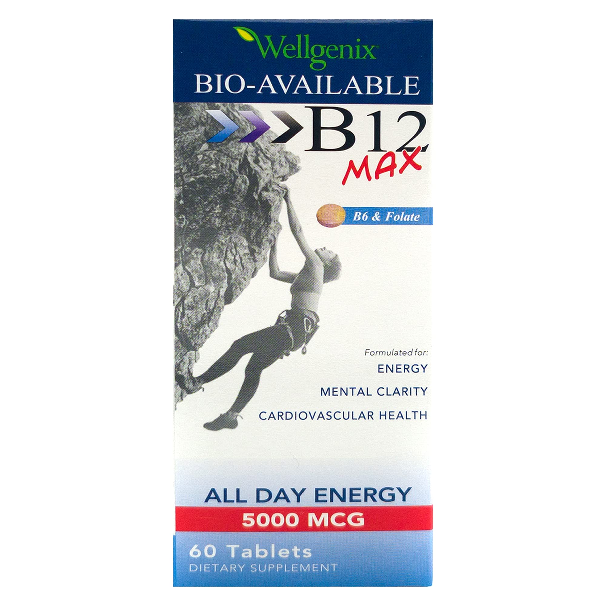 Wellgenix Bio-Available Sublingual B12 B6 Folate bottle label