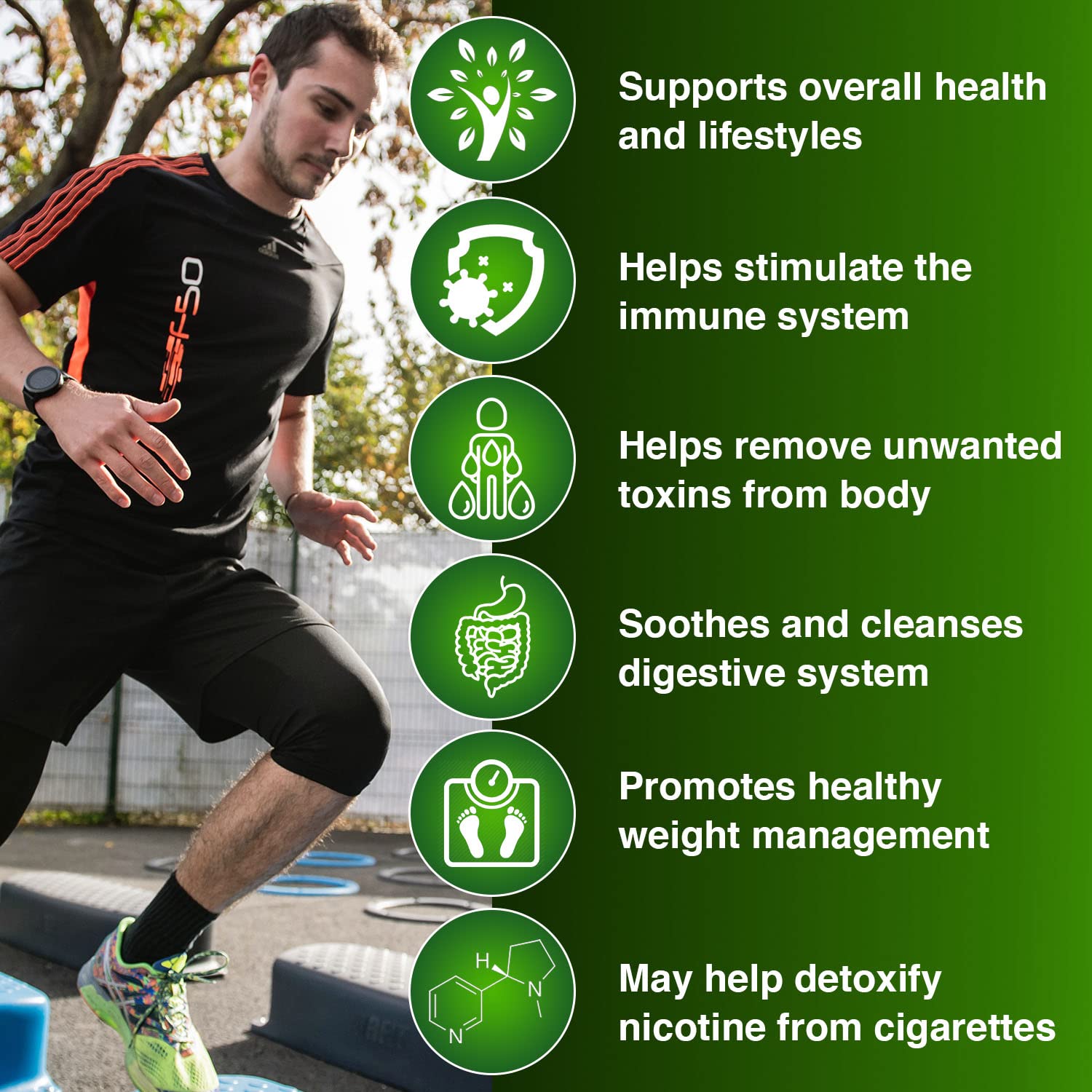 Wellgenix Strip 5 Day Detox ingredients chart outlines herbal components and cleanse focus.