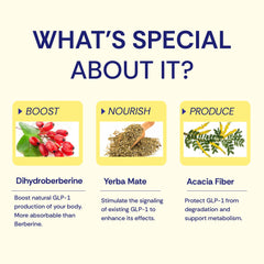 Prebiotics and other ingredients in Wellio GLP-1 Optimal