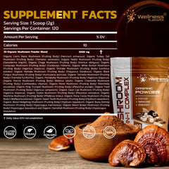 Wellness LabsRx 25-in-1 mushroom powder label