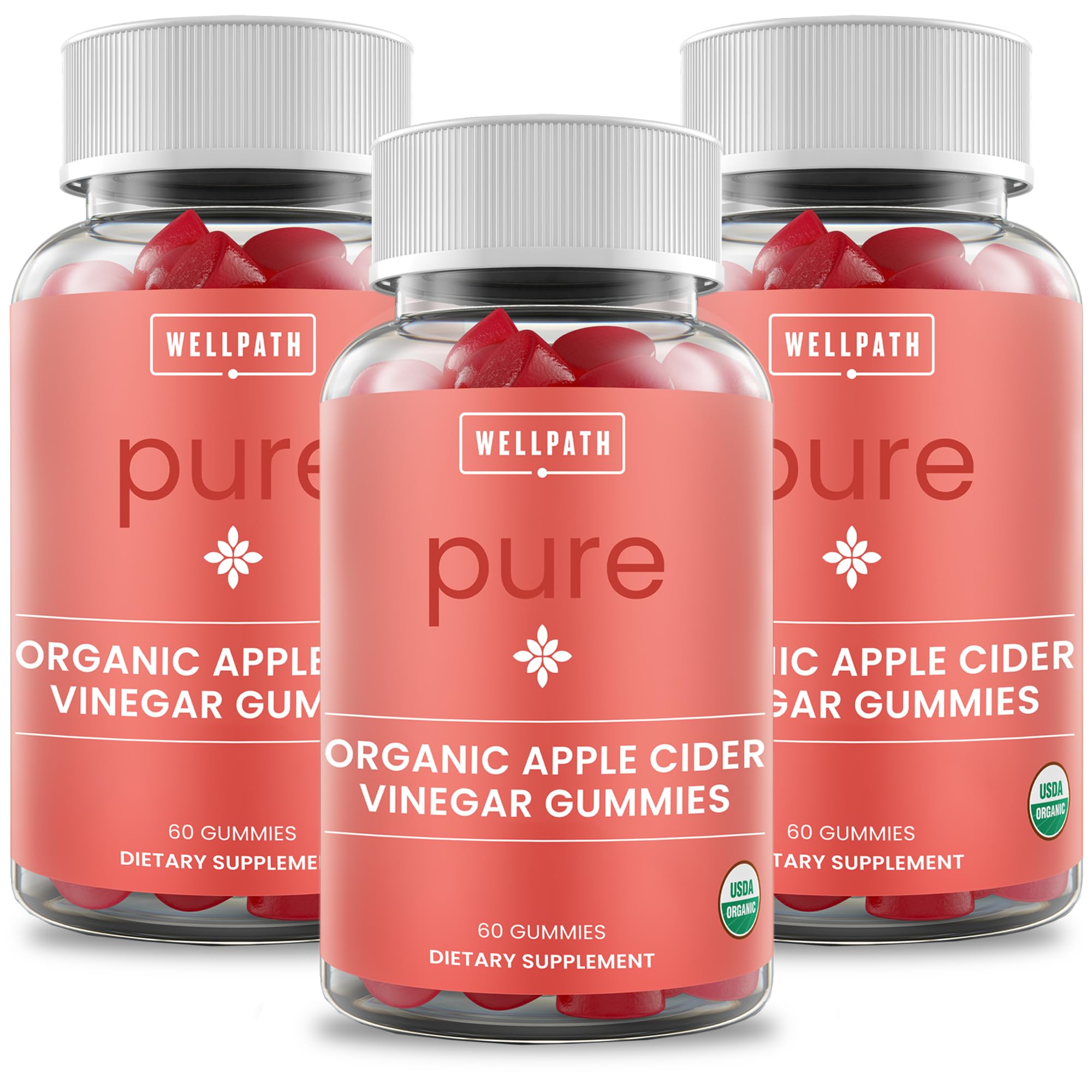 Front view of WellPath 3-pack Ginger Apple Cider Vinegar Gummies packaging