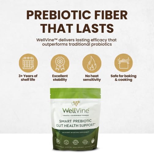 4.75 oz WellVine prebiotic powder on a neutral background