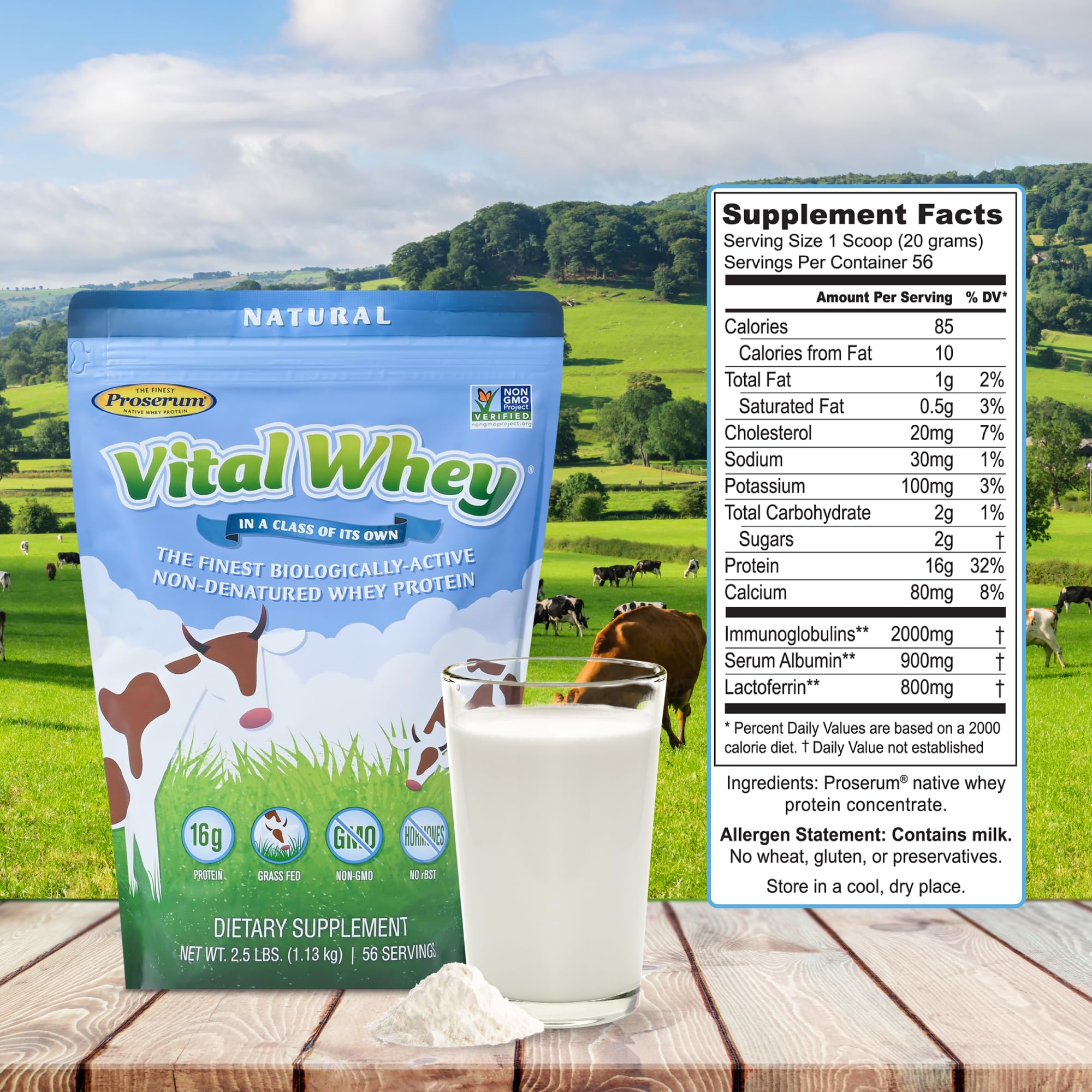 Well Wisdom Proteins Vital Whey natural flavor glass conveys tasty, versatile supplement for any time.