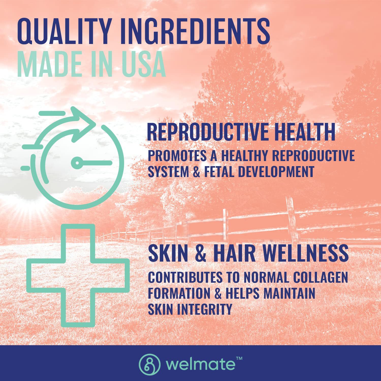 Ingredients panel for Welmate Zinc Sulfate 220 mg
