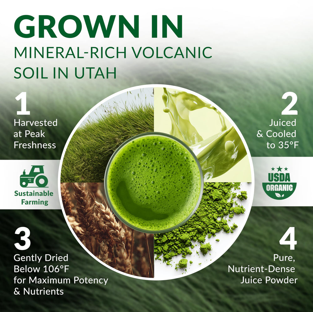 Wheat grass powder ingredients and clean label