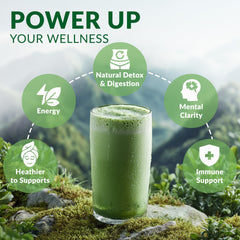 Scoop of wheat grass juice powder