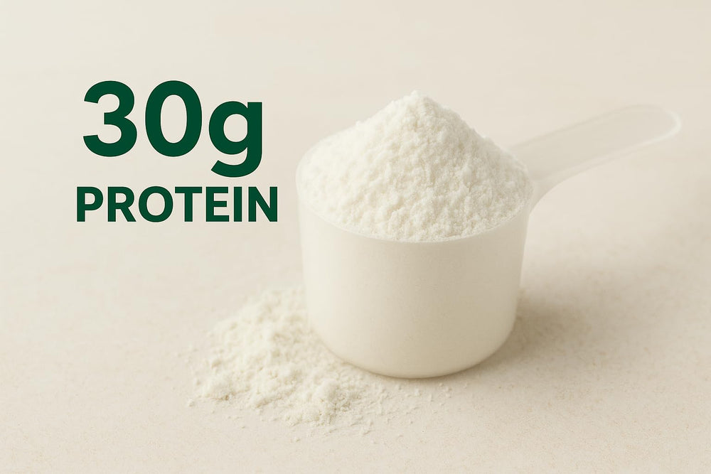 Scoop of unflavored whey isolate protein powder with 30 g protein serving