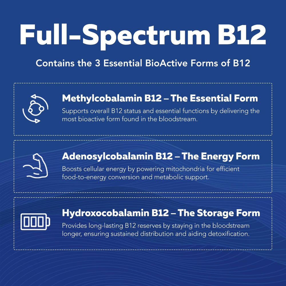 Illustration of full-spectrum bioactive B vitamins for wellness