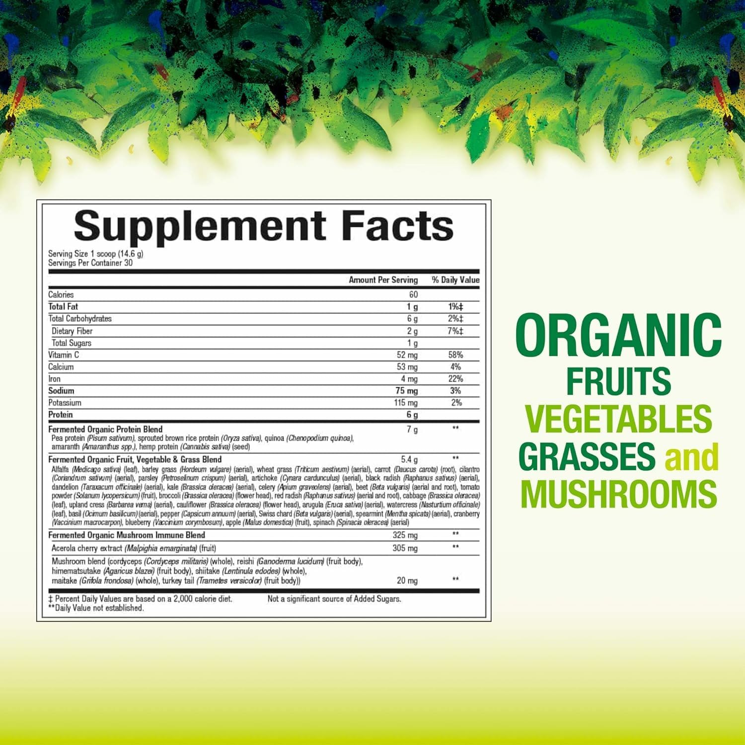 Back label of Whole Earth & Sea Organic Fermented Greens Tropical 14.3 oz