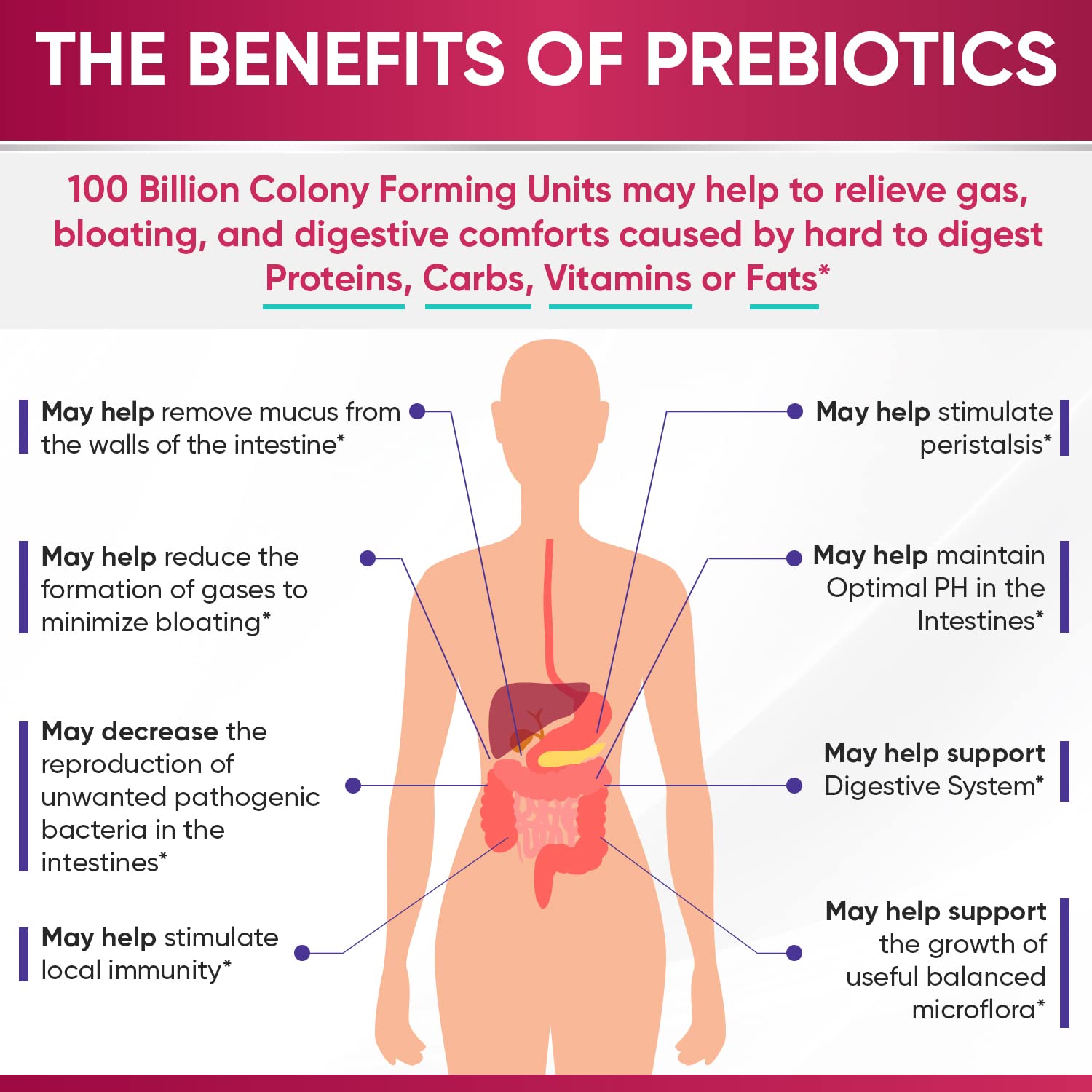 Icons representing organic prebiotics and digestive enzymes