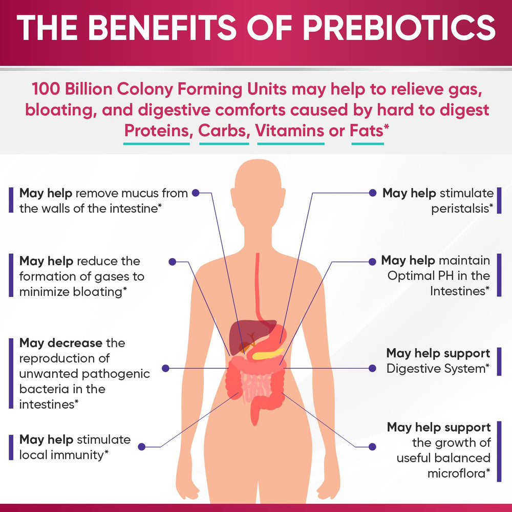 Icons representing organic prebiotics and digestive enzymes