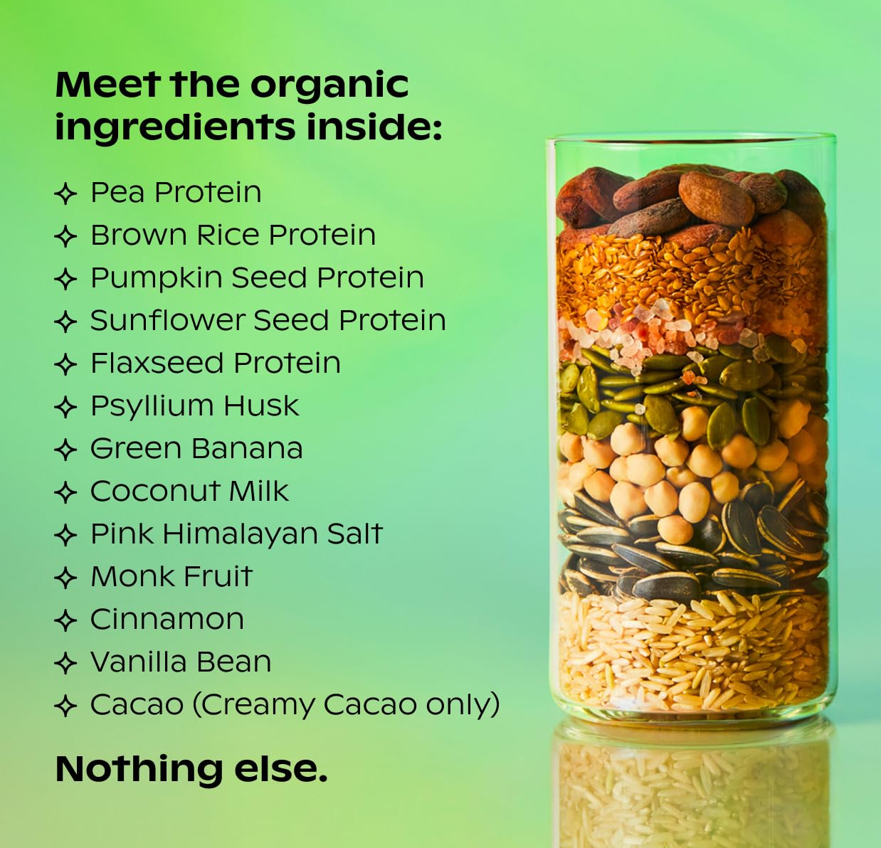 Wholier vegan plant protein scoop demonstrates convenient daily protein paired with prebiotics.