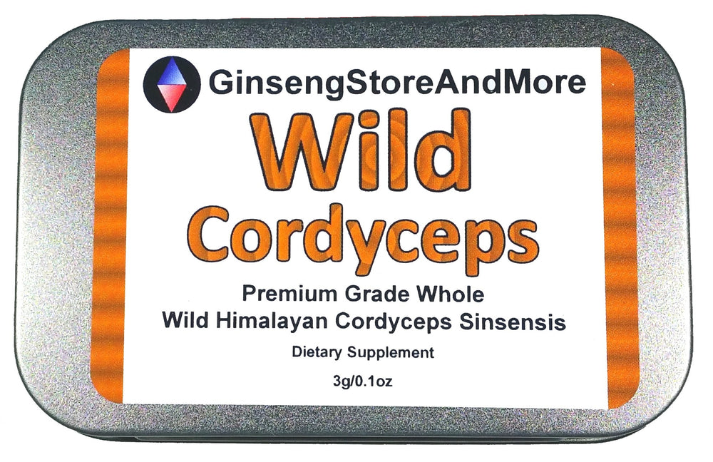 Close-up of whole Cordyceps sinensis pieces