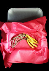 Cordyceps sinensis packaging with metal tin