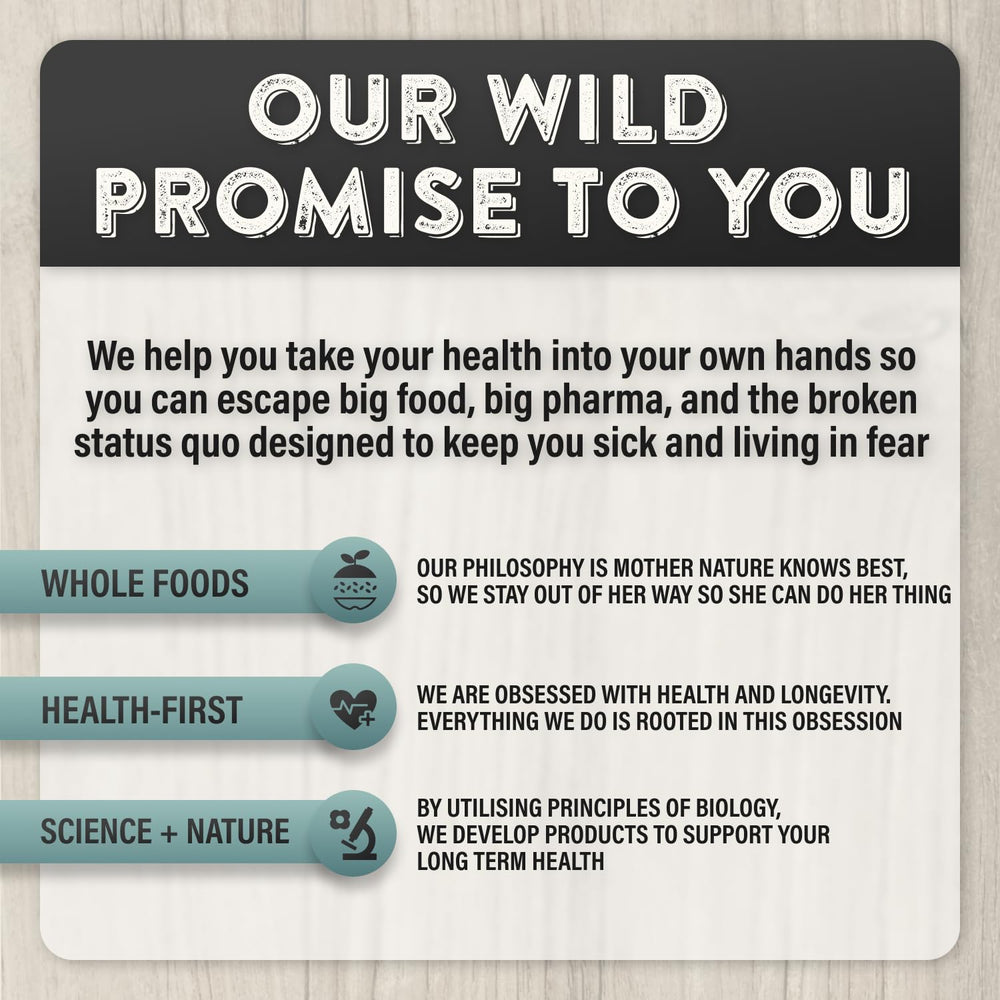 Wild Foods beef protein keto-paleo friendly graphic targets low-carb dieters.