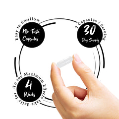 Diagram of magnesium forms: malate, orotate, citrate and taurate