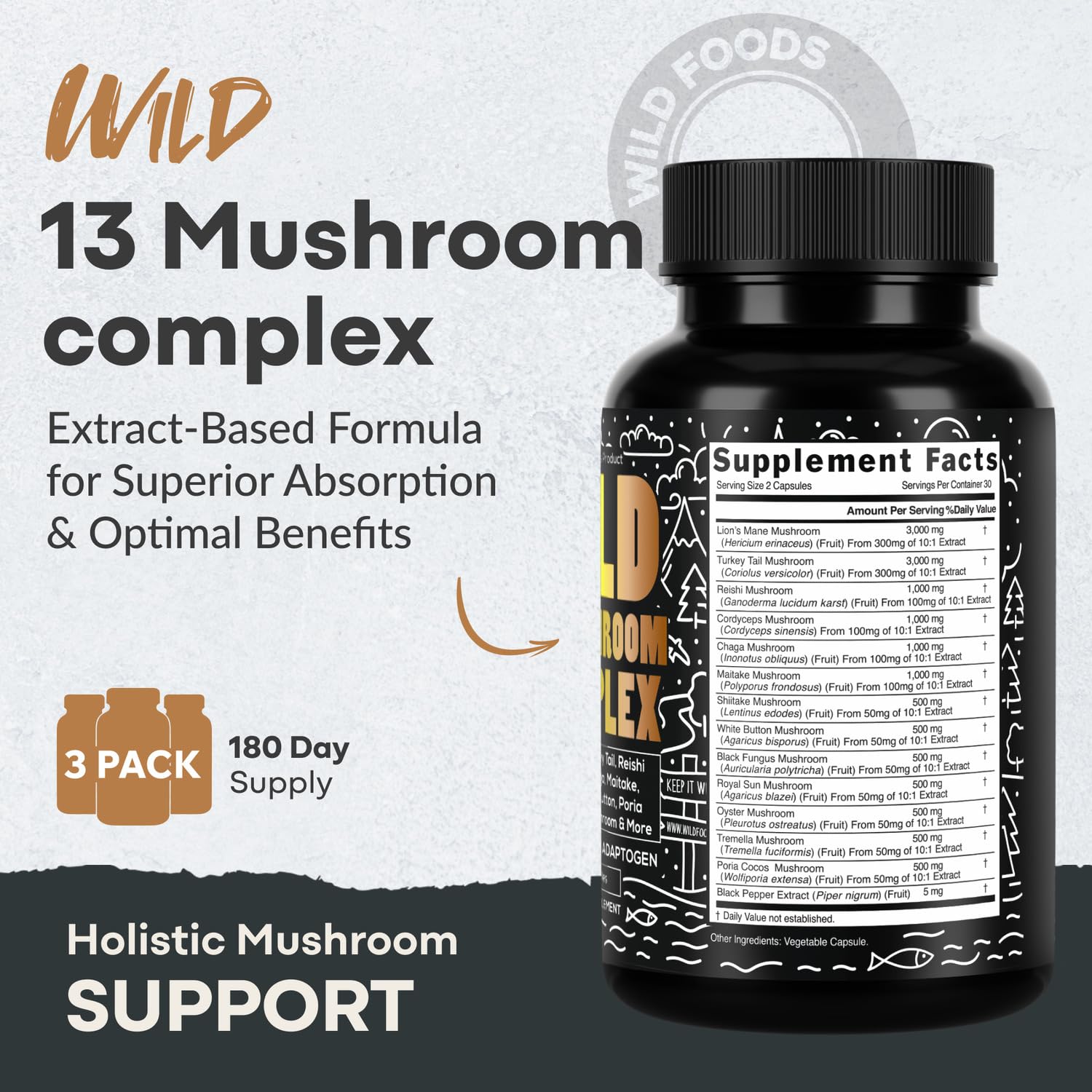Close-up of the 13 USDA organic mushrooms used in the blend