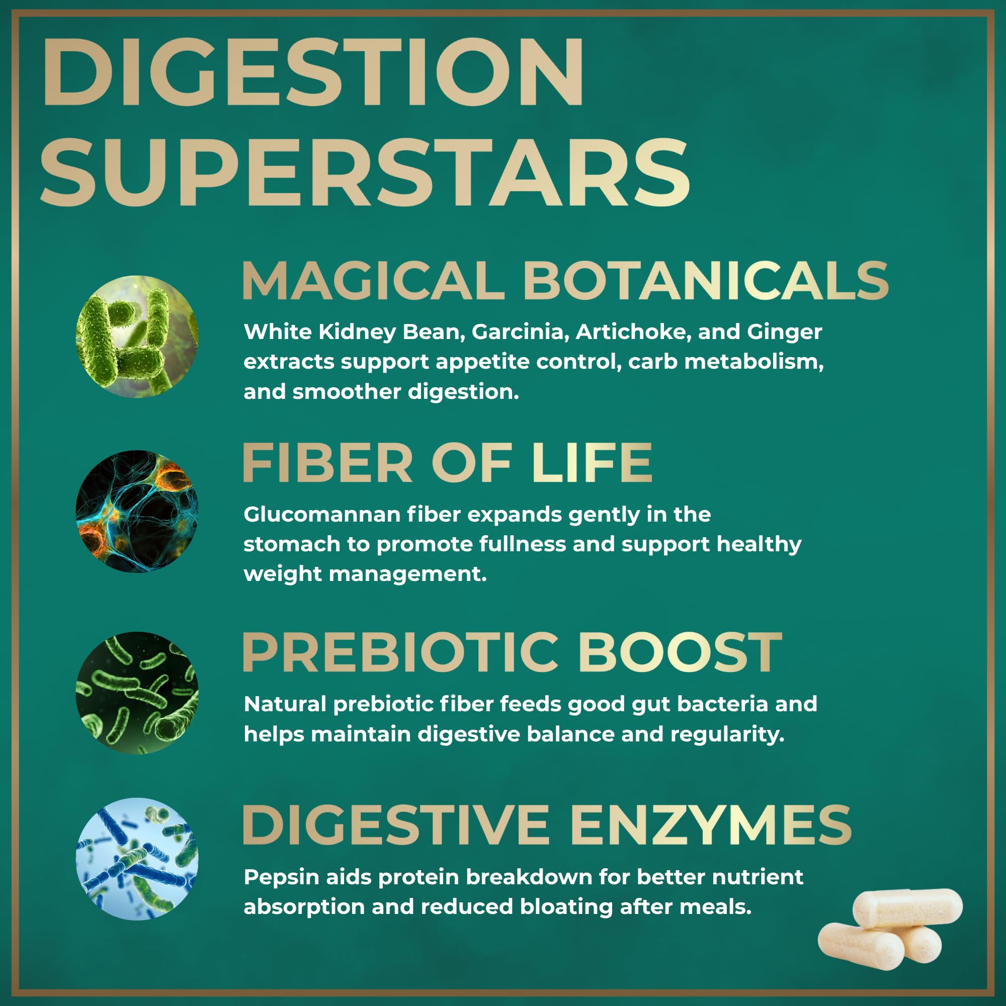 Wild Fuel white kidney bean extract image suggests carb blocking for smarter meal choices.