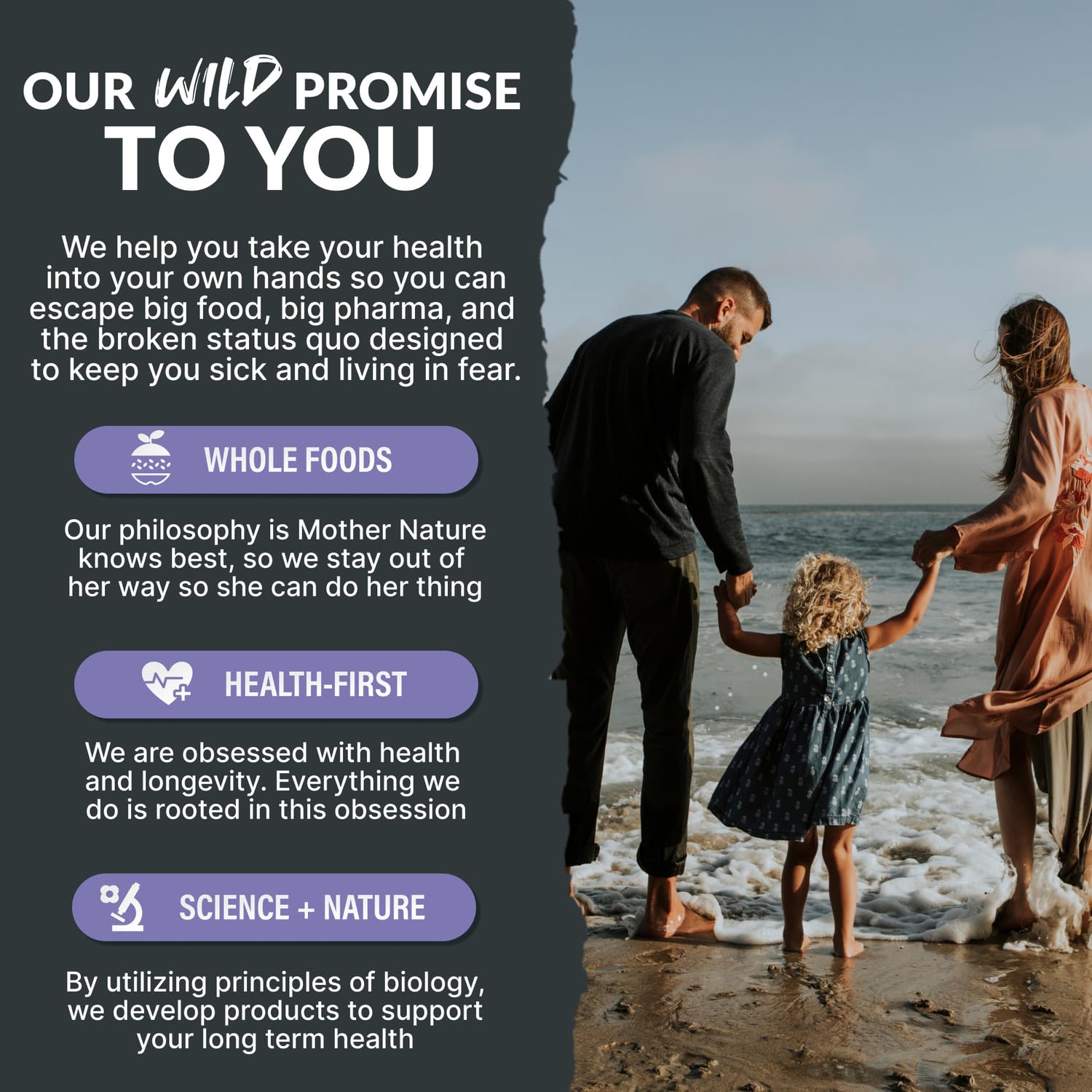 Packaging display of Wild Kids Calm Gummies for kids