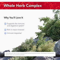 Visual showing ingredients of Wild Oregano Plus including Mediterranean oregano