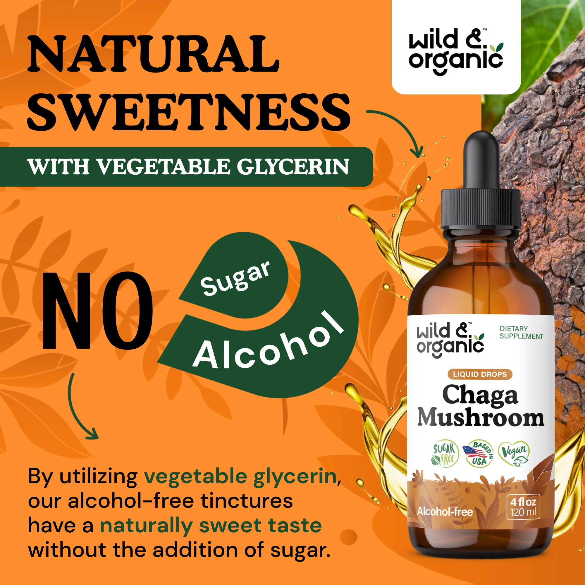 Serving size information with 500 mg chaga per serving