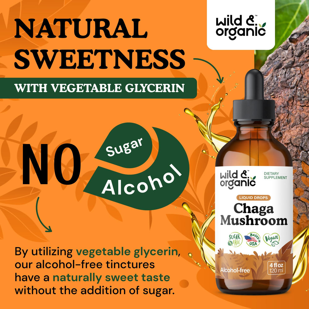 Serving size information with 500 mg chaga per serving