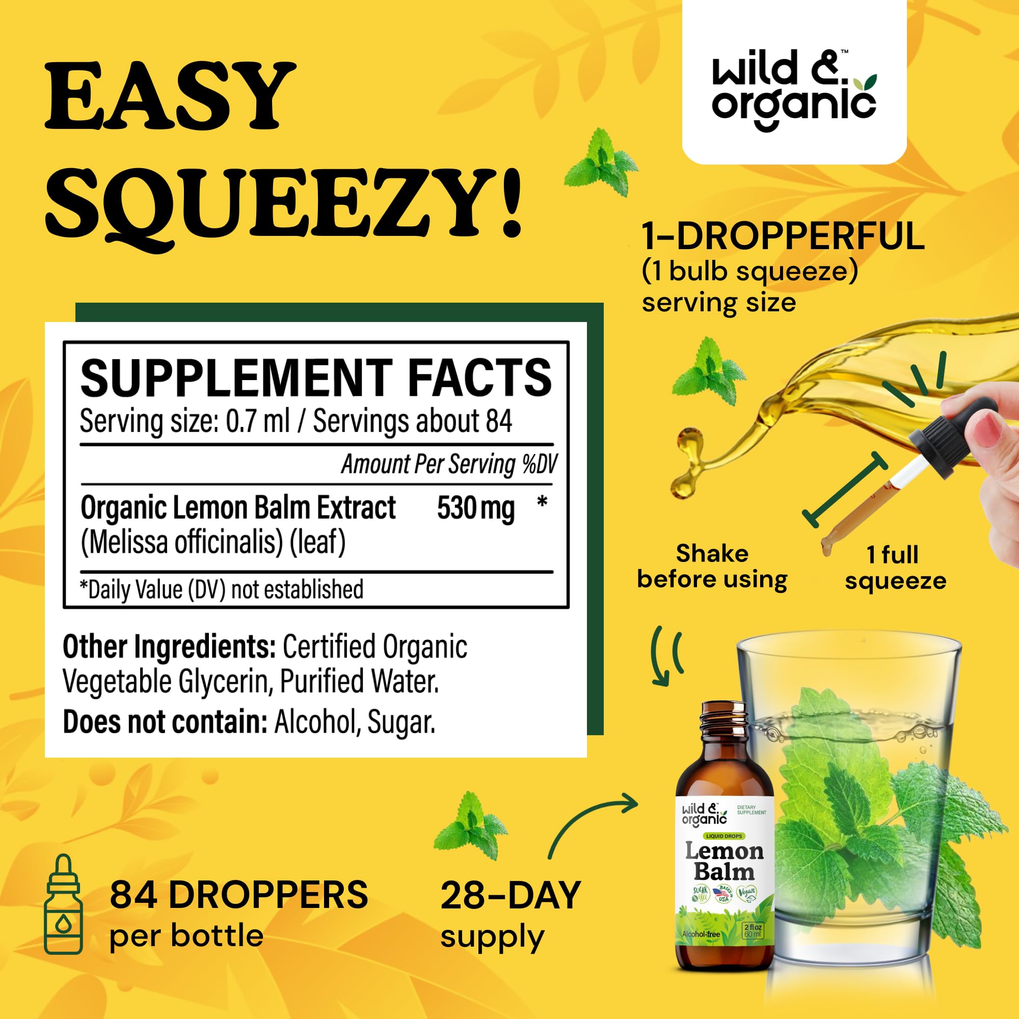 Close-up of fresh lemon balm leaves used in the tincture