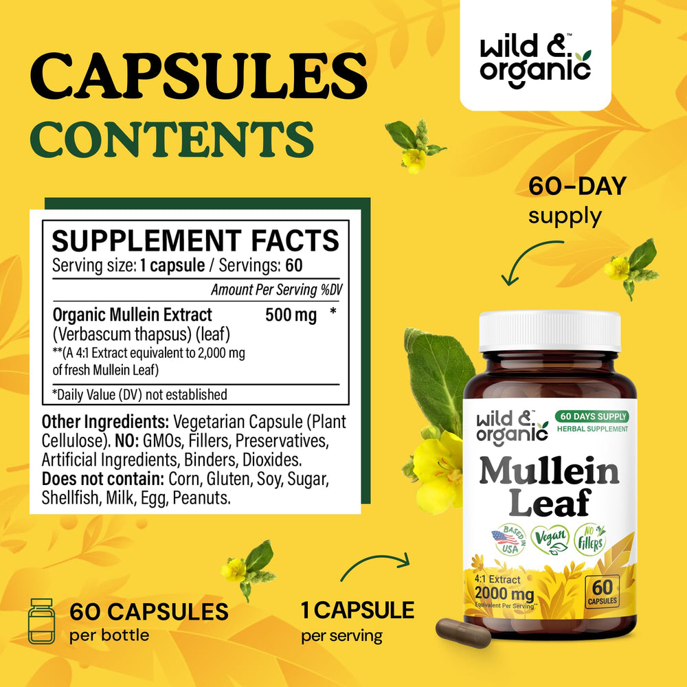 Mullein leaf extract 4:1 strength infographic