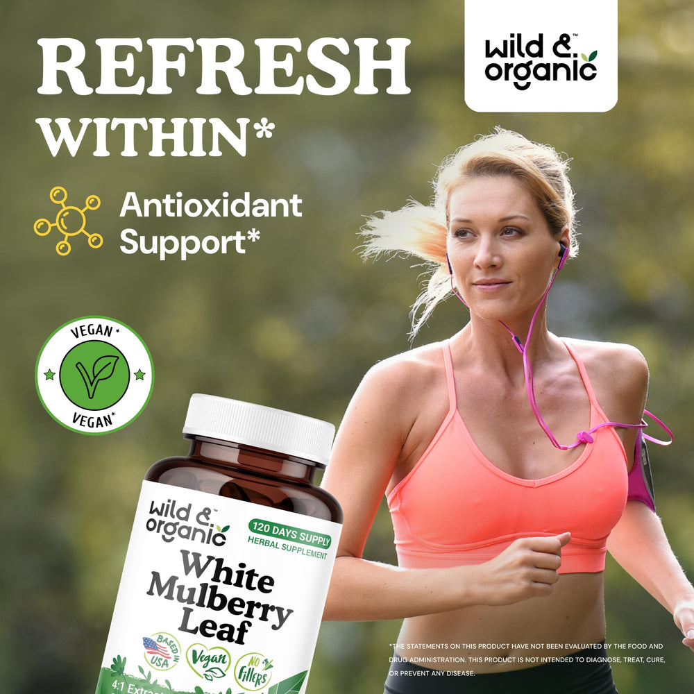 Close-up of mulberry leaf extract capsule (500 mg)